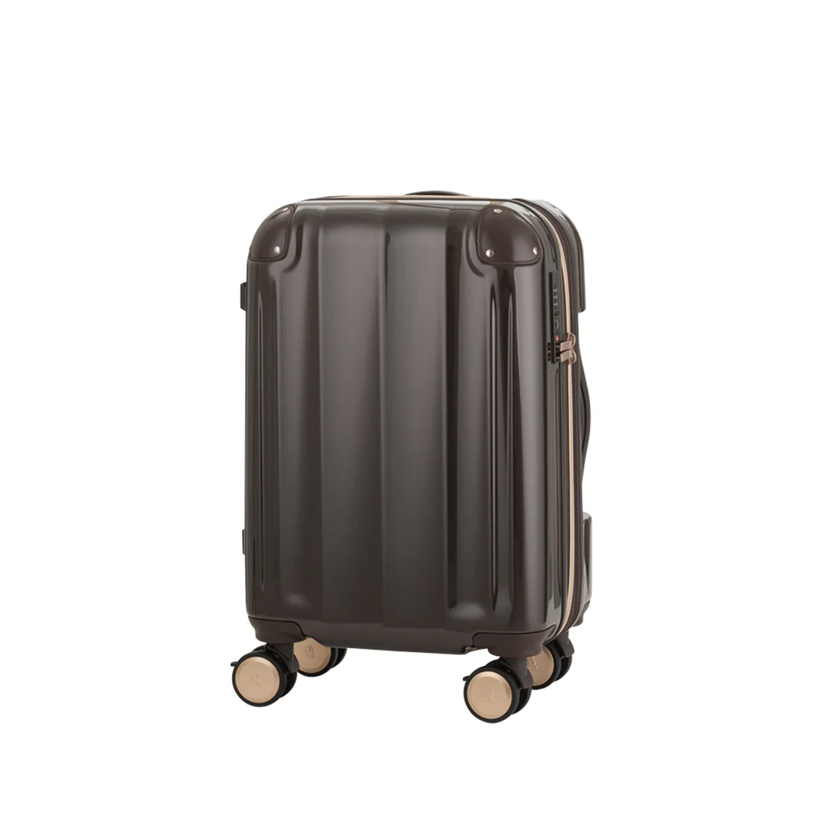 ストッパー付き鏡面拡張ファスナーキャリーVELIRO34L