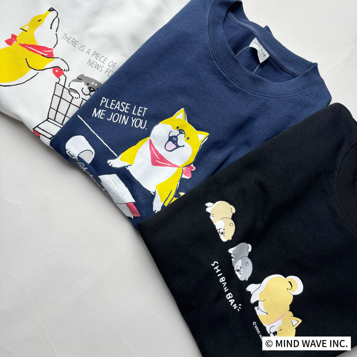 しばんばんプリントクルートレーナー